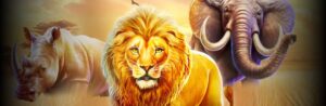 Safari King Ang Bagong Hari ng Online Slot Games sa Pilipinas