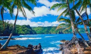 Hawaii Beauty Strategy: Mga Sikreto Para Manalo sa Online Slots
